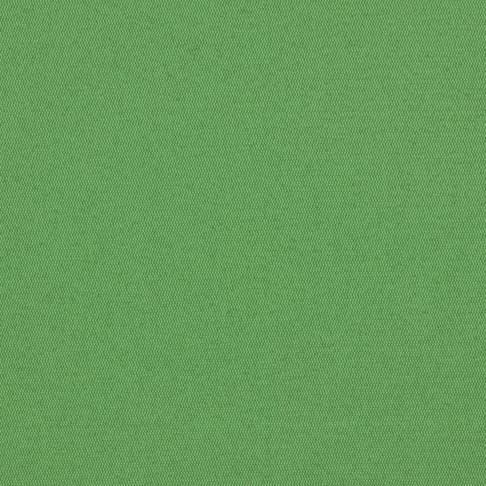 Lime Lime