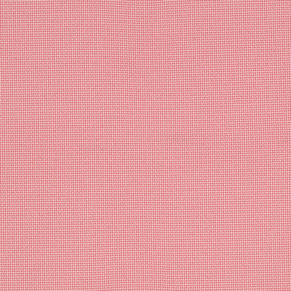 Galah Galah