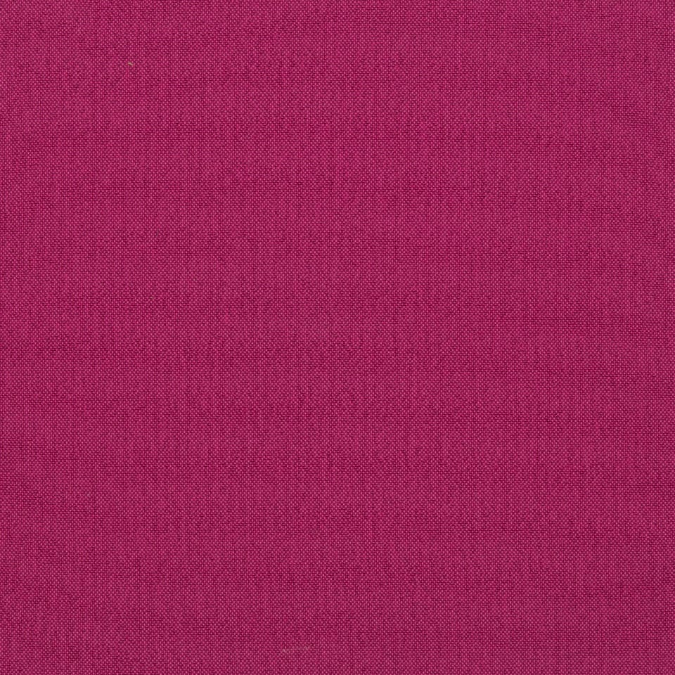 Fuchsia Fuchsia