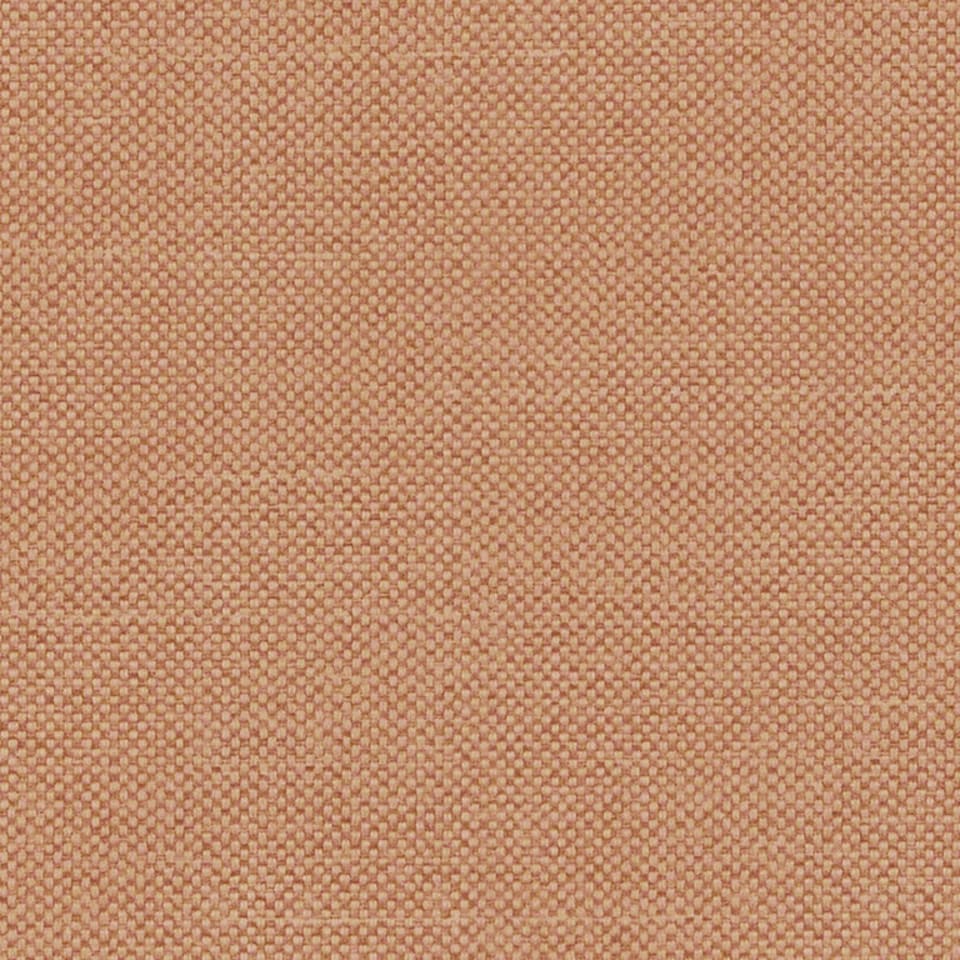 Cedar Cedar