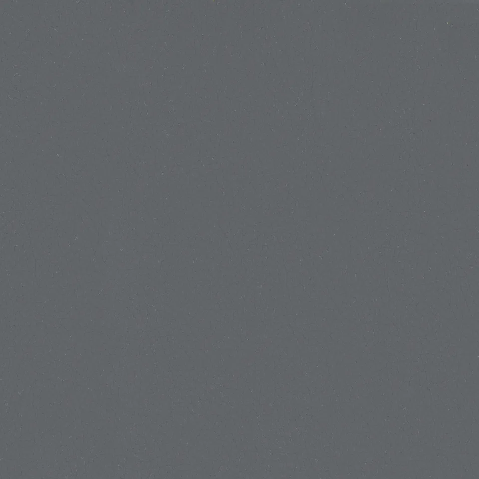 Shell Grey Shell Grey