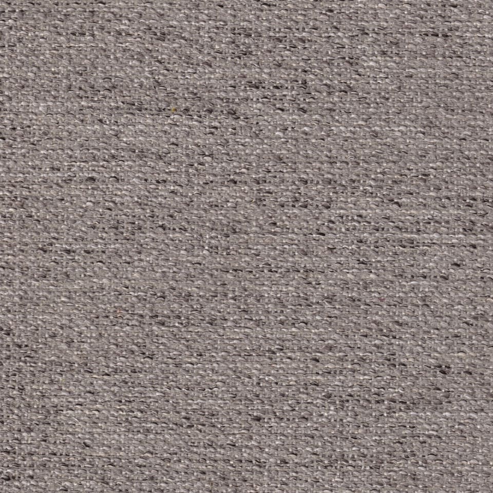 Grey Fox Grey Fox
