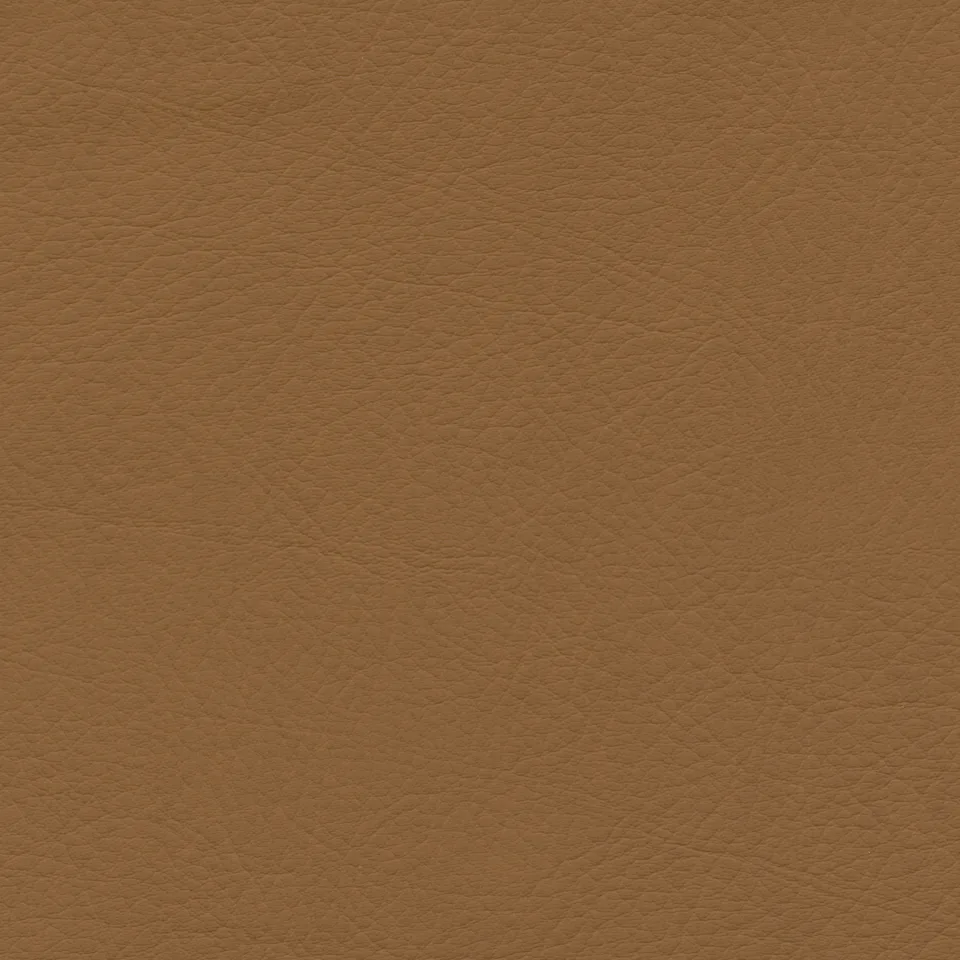 Cognac Cognac