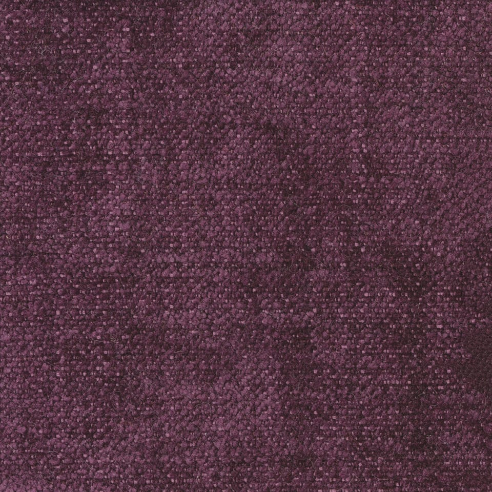 Plum Plum