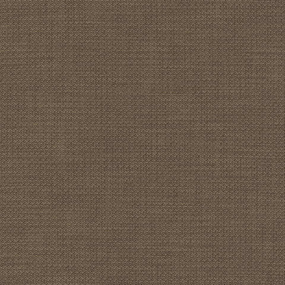 Bronze Bronze