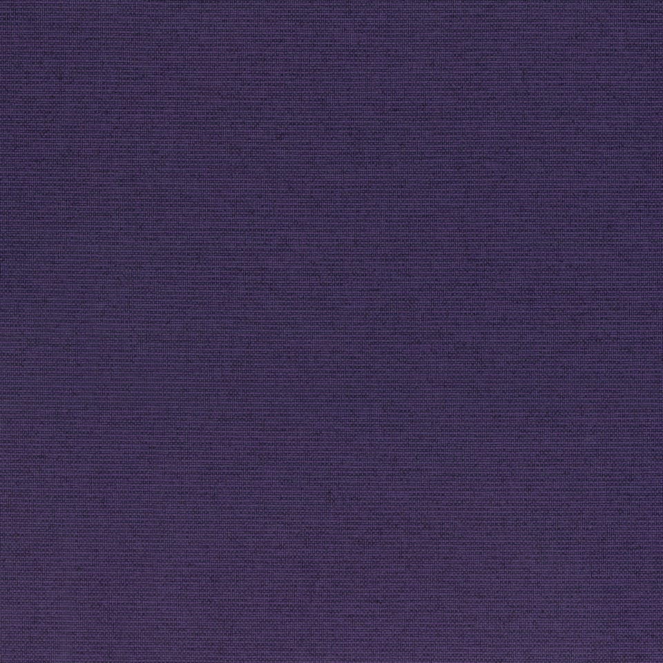 Grape Grape