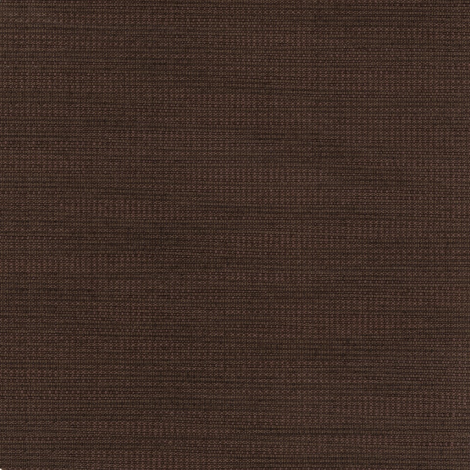 Chocolate Chocolate