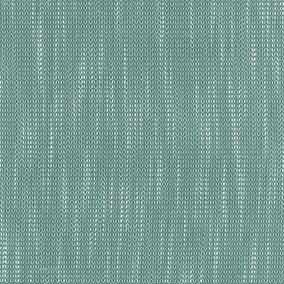 Forest Green Forest Green