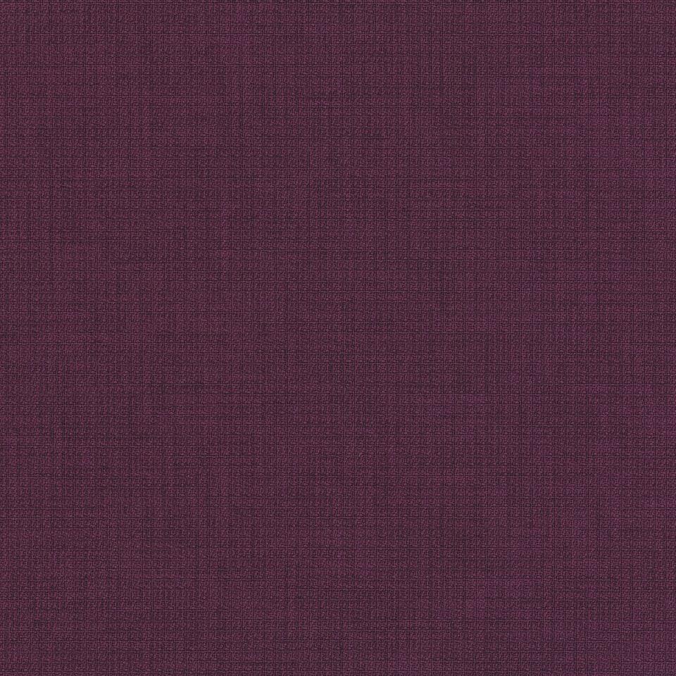 Blackberry Blackberry