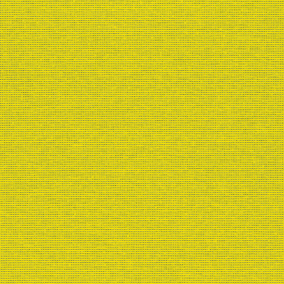 Zest Zest