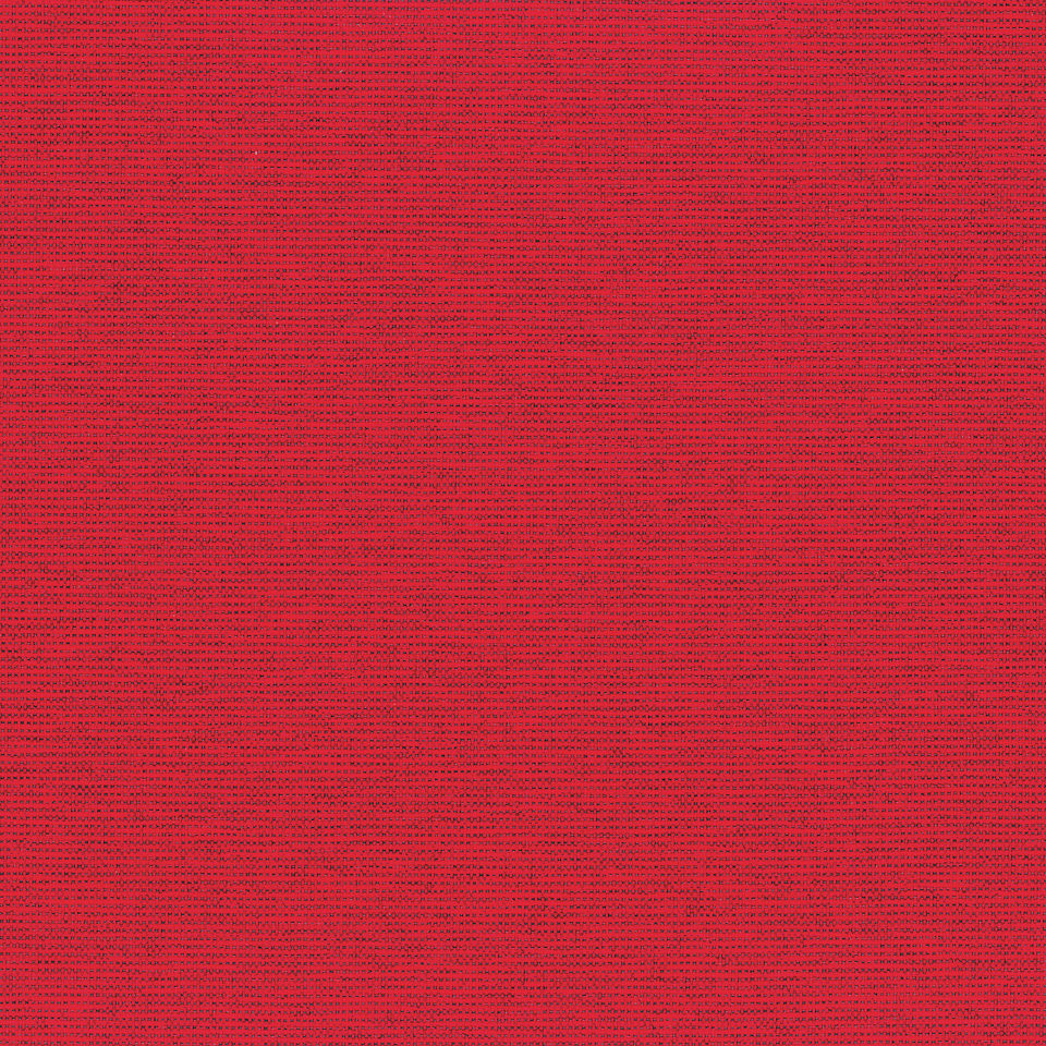 Scarlet Scarlet