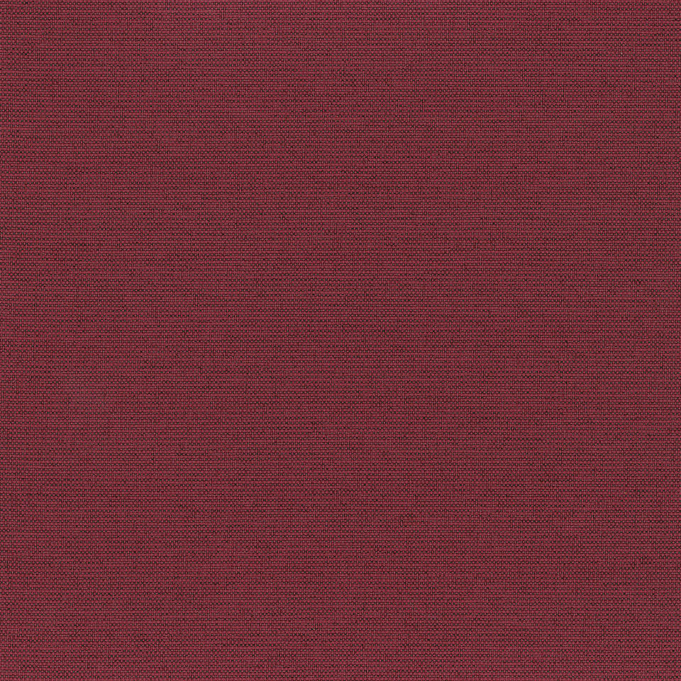 Currant Currant