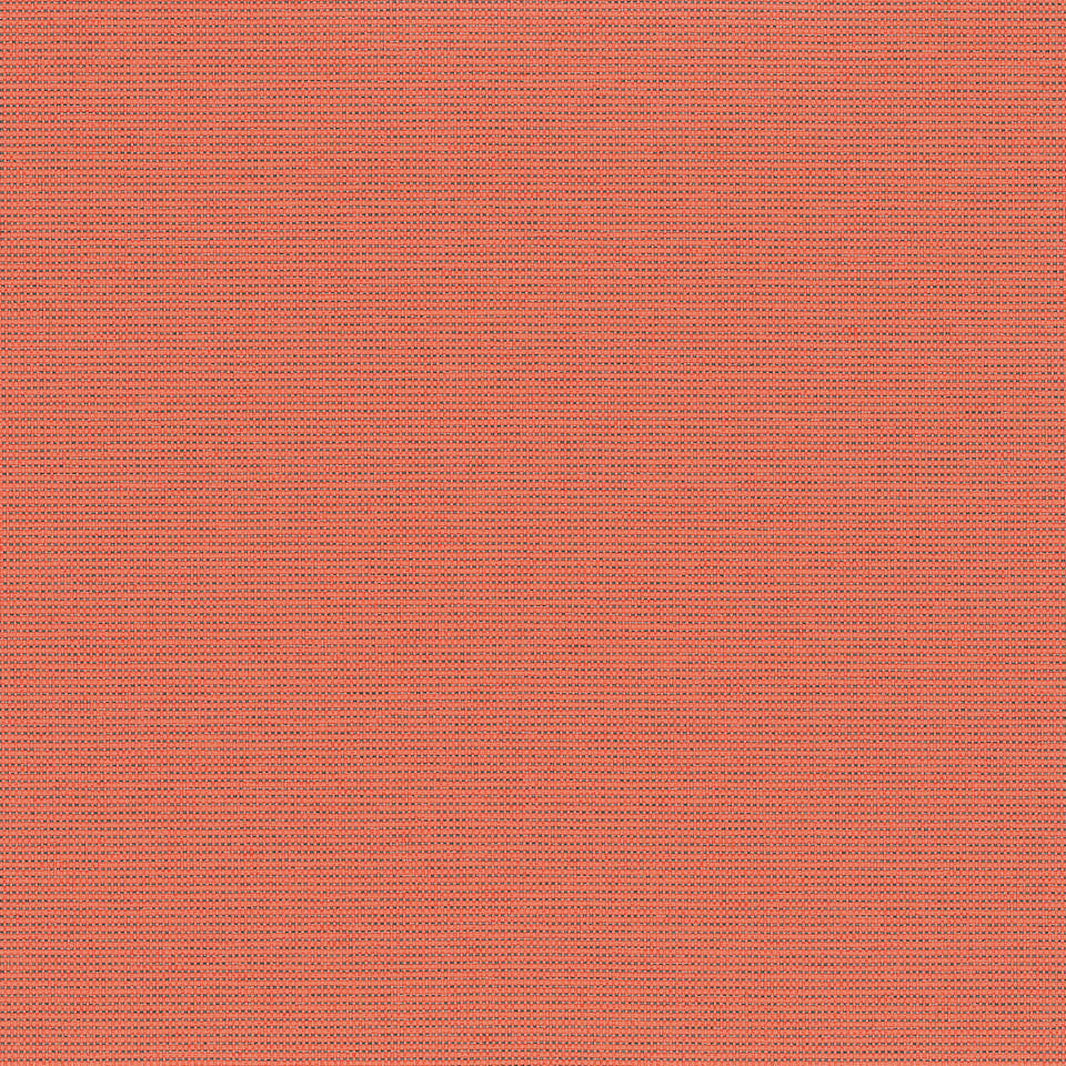Sorbet Sorbet