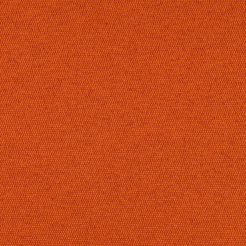 Satsuma Satsuma