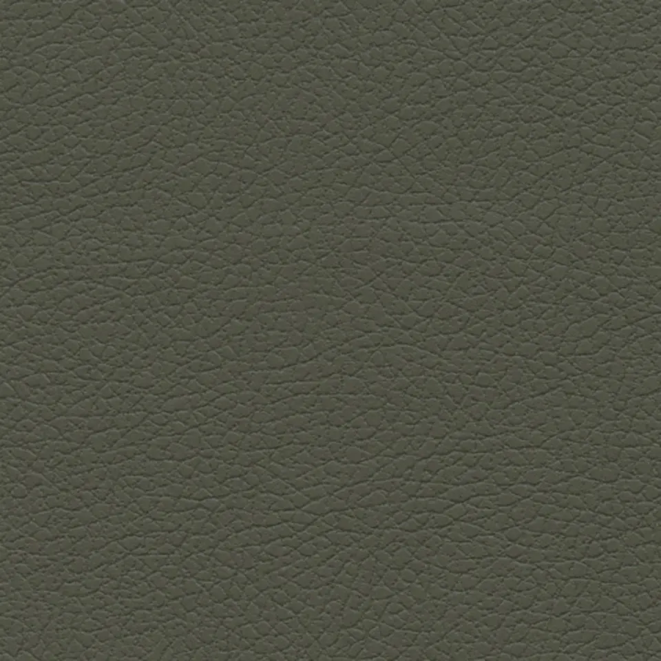 Olive Olive