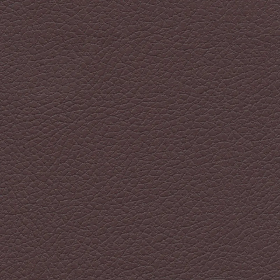 Cabernet Cabernet