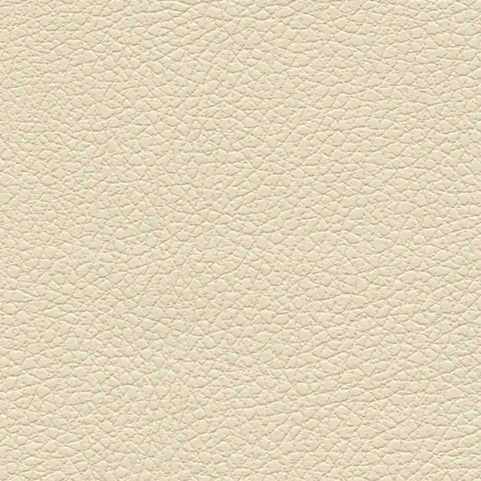 Cream Cream
