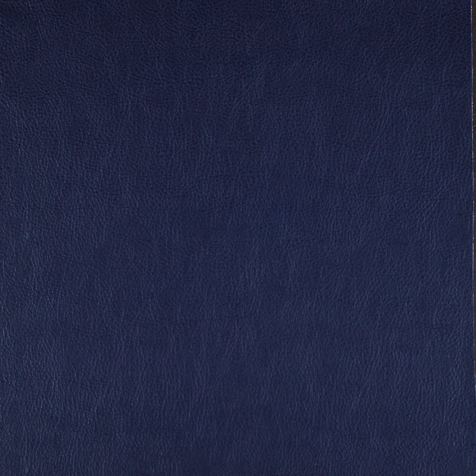 Navy Navy