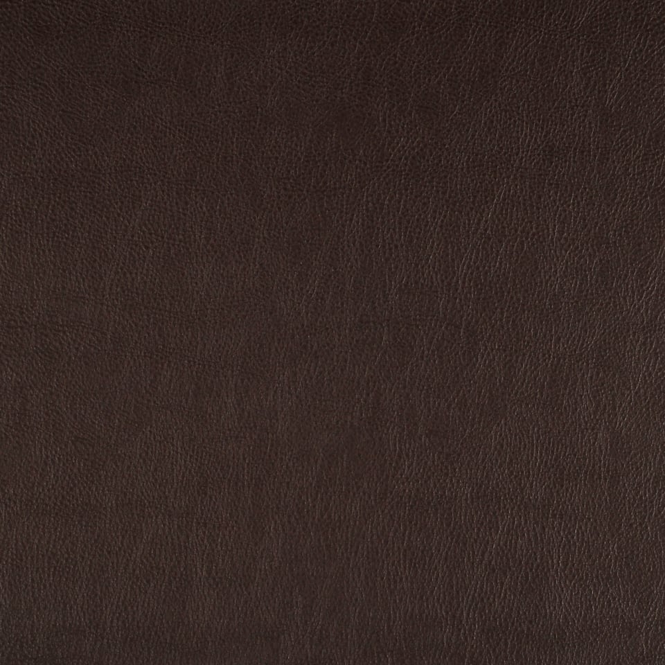 Chocolate Chocolate