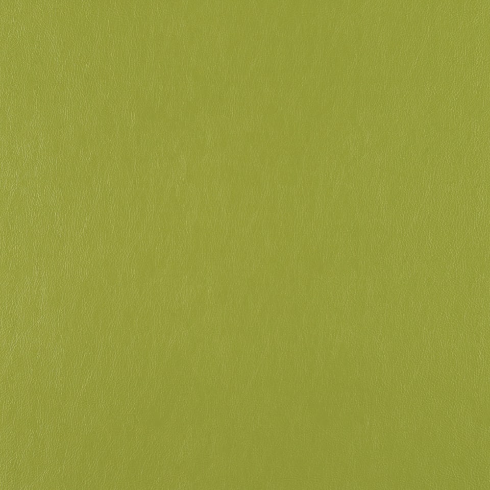 Reptile Reptile