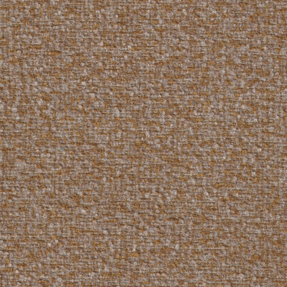 Mustard Seed Mustard Seed