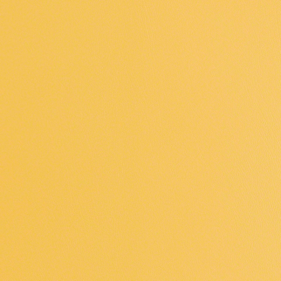 Marigold Marigold