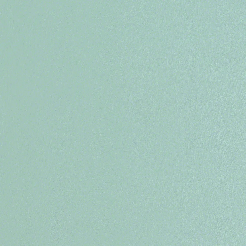 Light Teal Light Teal