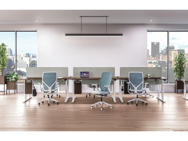 Row of 2 height adjustable workstations with Flexion task seating.