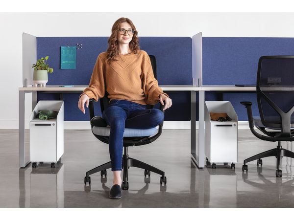 Flexion Seating, Voi Desks, Fuse Storage, Universal Screens