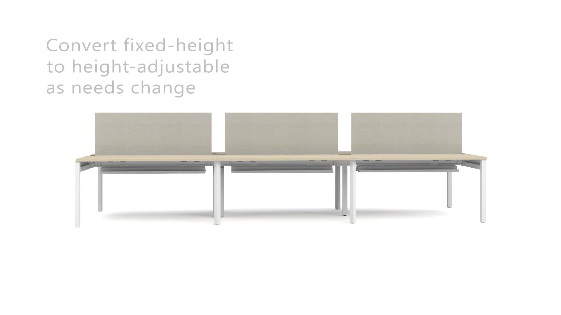 Animation_Further Adaptive