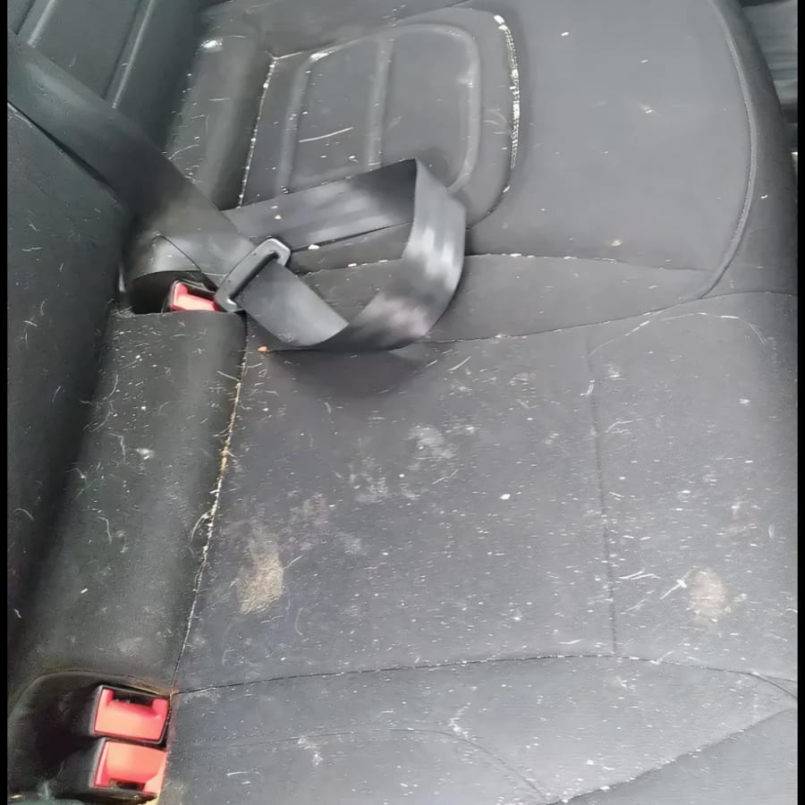 Asiento de auto lleno de pelos y tierra