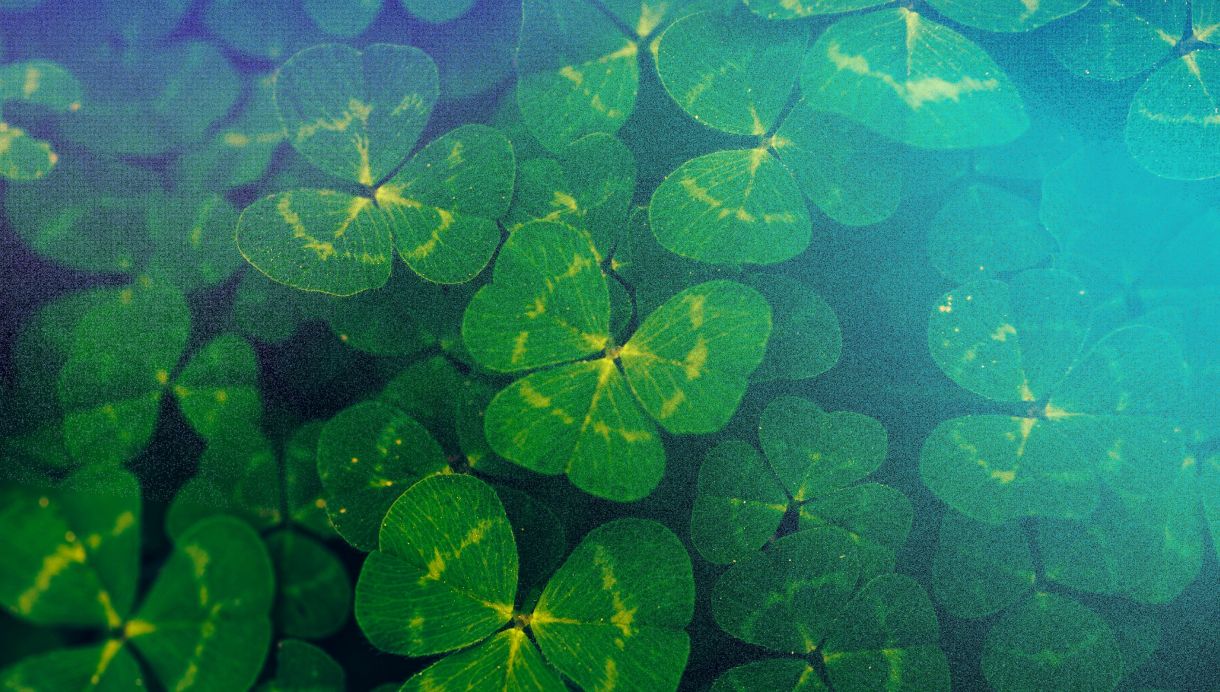 A Shamrockin' Guide to Celebrating St. Patrick's Day on a Budget