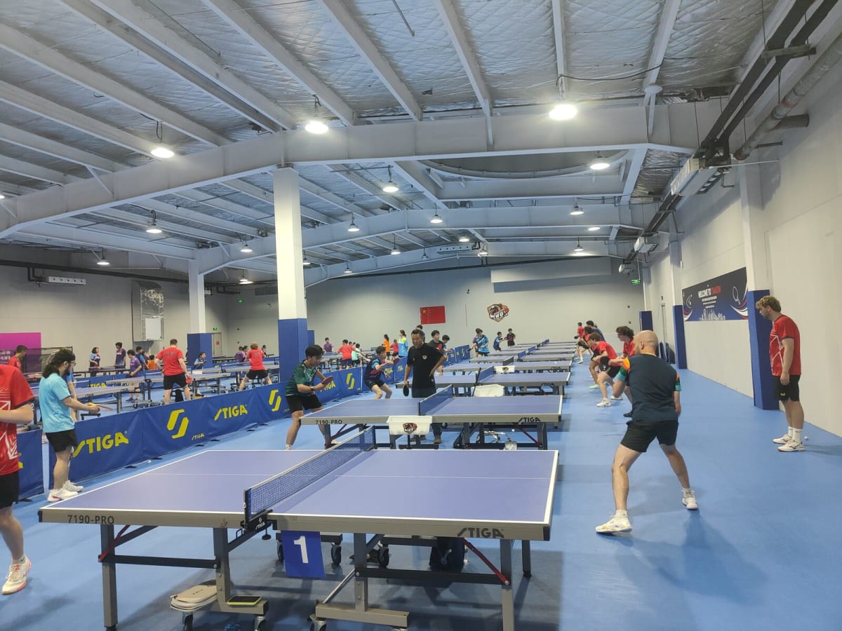 Halle in Bewegung