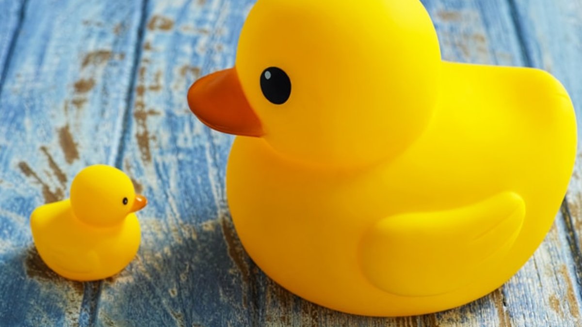 A large yellow mother rubber duck looking down at a smaller baby rubber duck, illustrating the motherhood penalty for lawyers
