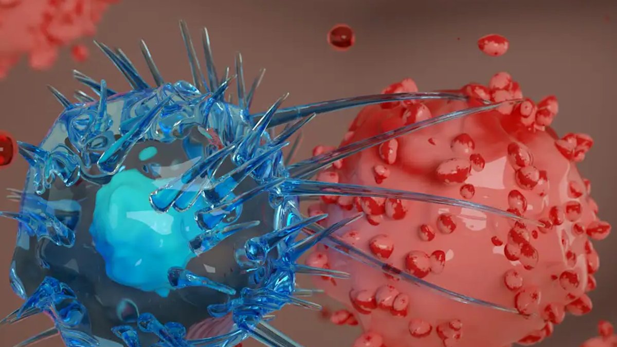 CAR T Cell Therapy for Myeloma Patients CAR T Cell Therapy for Myeloma Patients - car t cell