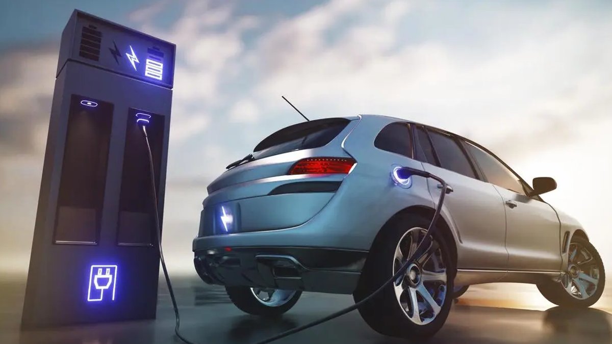India asks EV sector to prove it can work without India asks EV sector to prove it can work without - ev sector viability