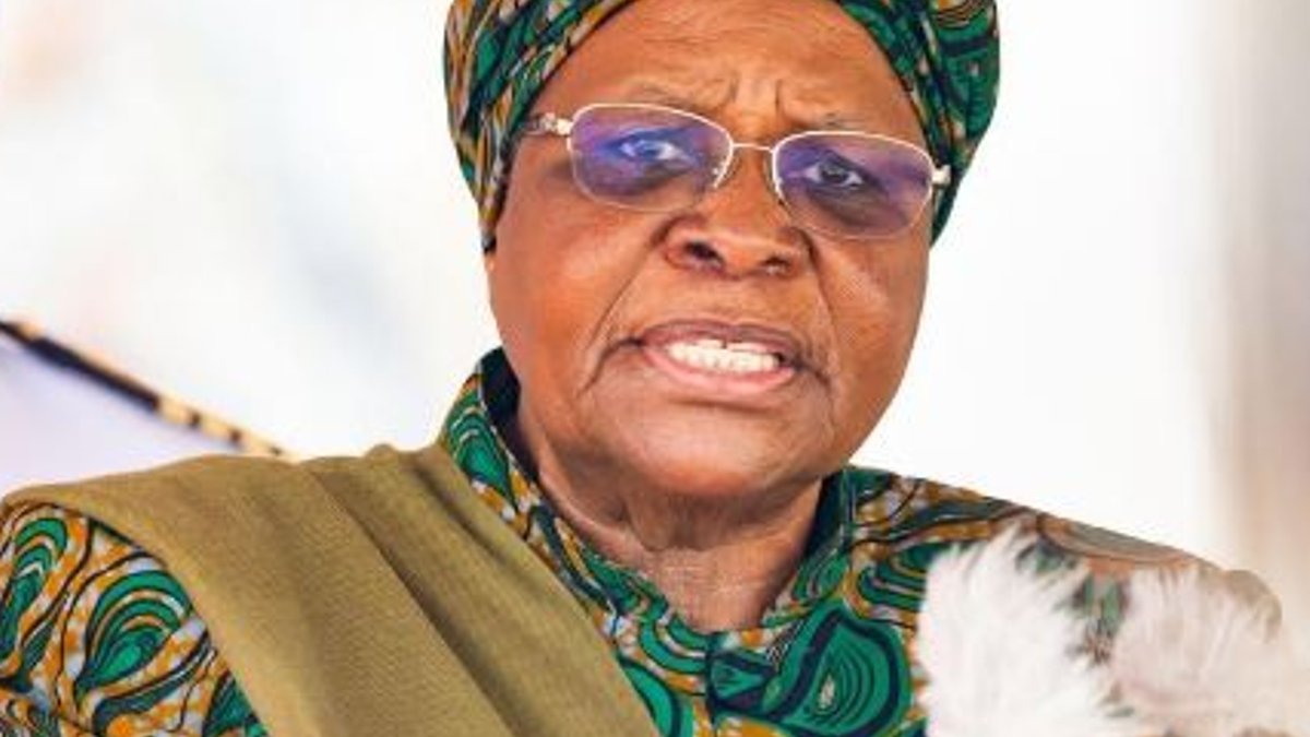 Namibia sends president to UN General Assembly for global diplomacy Namibia sends president to UN General Assembly for global diplomacy - un general assembly namibia