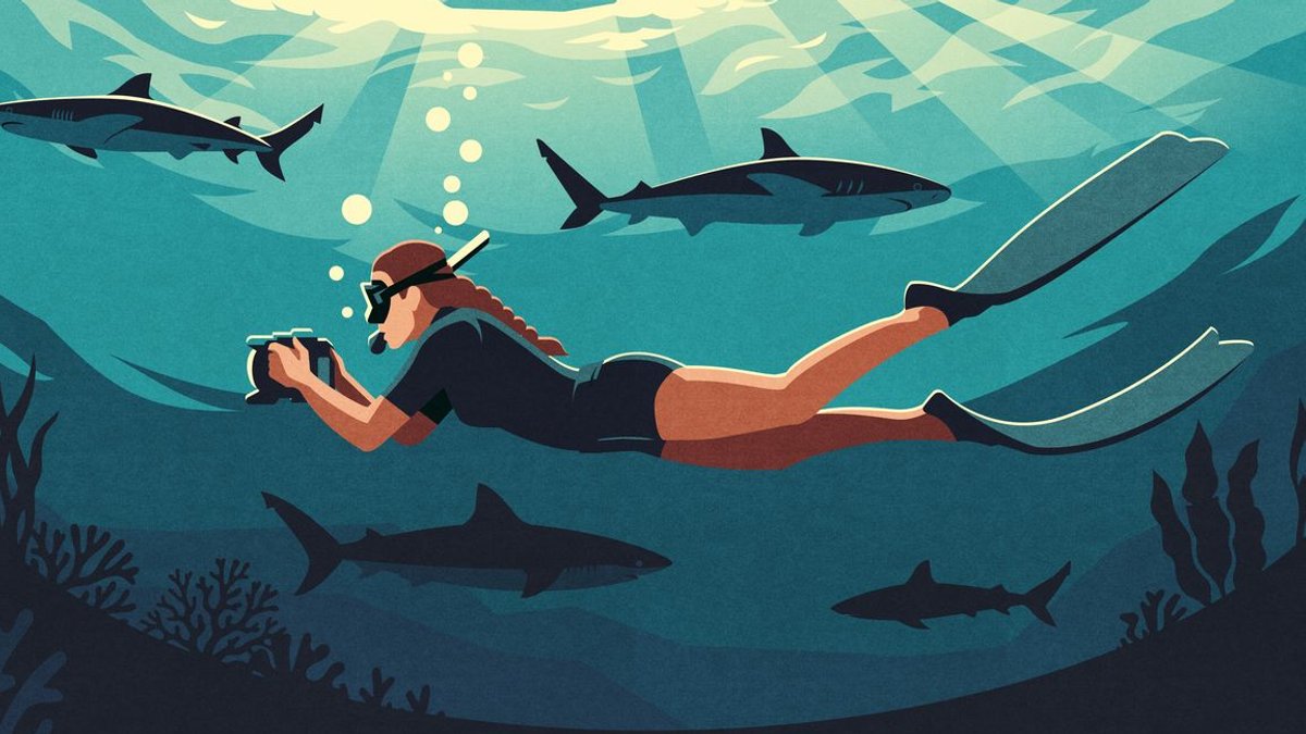 Fishermen and Loggers Turned Into Conservation Guardians - conservation guardians