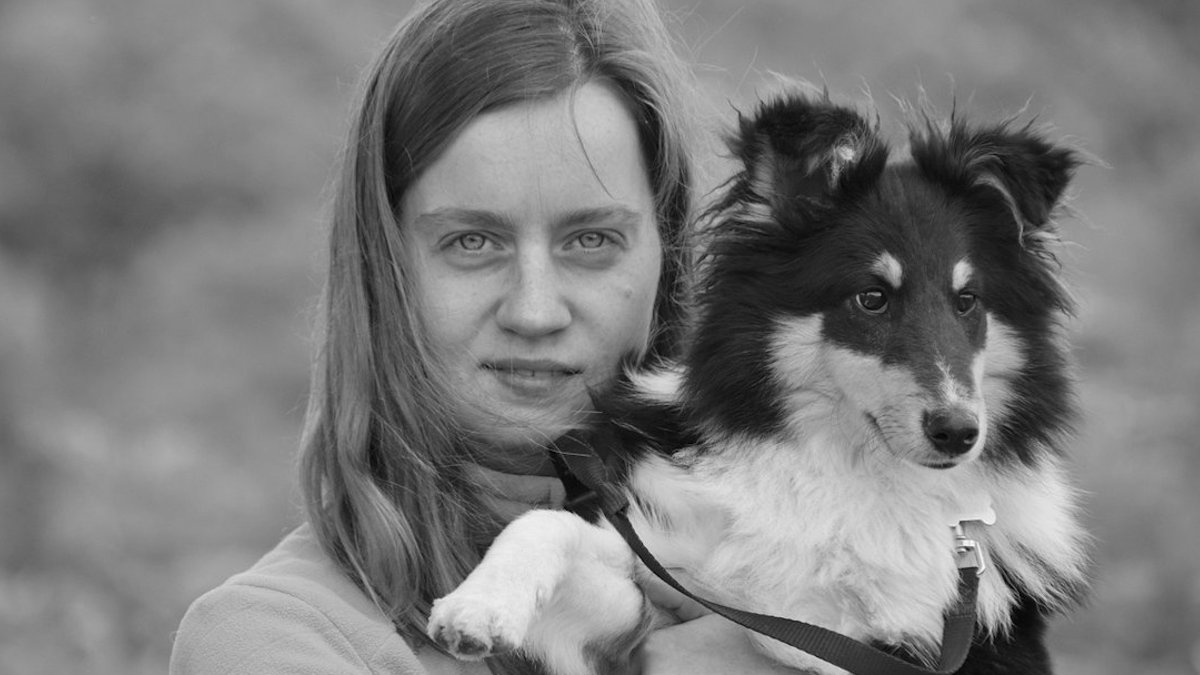 Dog owners now spend heavily on premium pet food - premium pet food