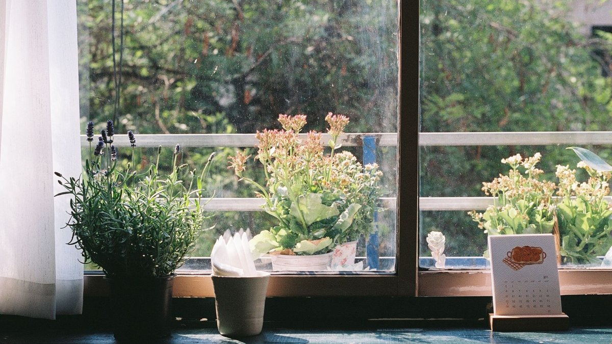 New gardening calendars blend practicality and beauty Sunlit windowsill featuring potted plants and a calendar, creating a peaceful indoor scene.