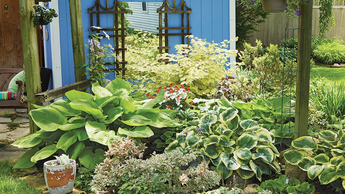 Shade Garden Features Variegated Foliage Plants - shade garden