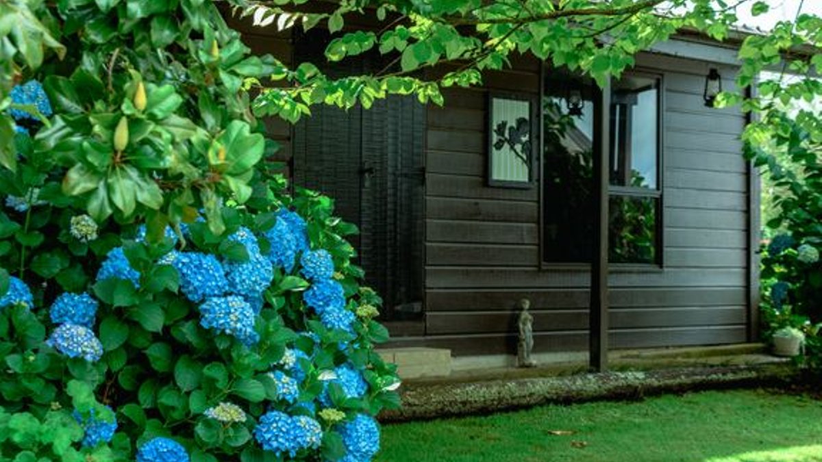 Ireland’s garden home notifications rise by 7%