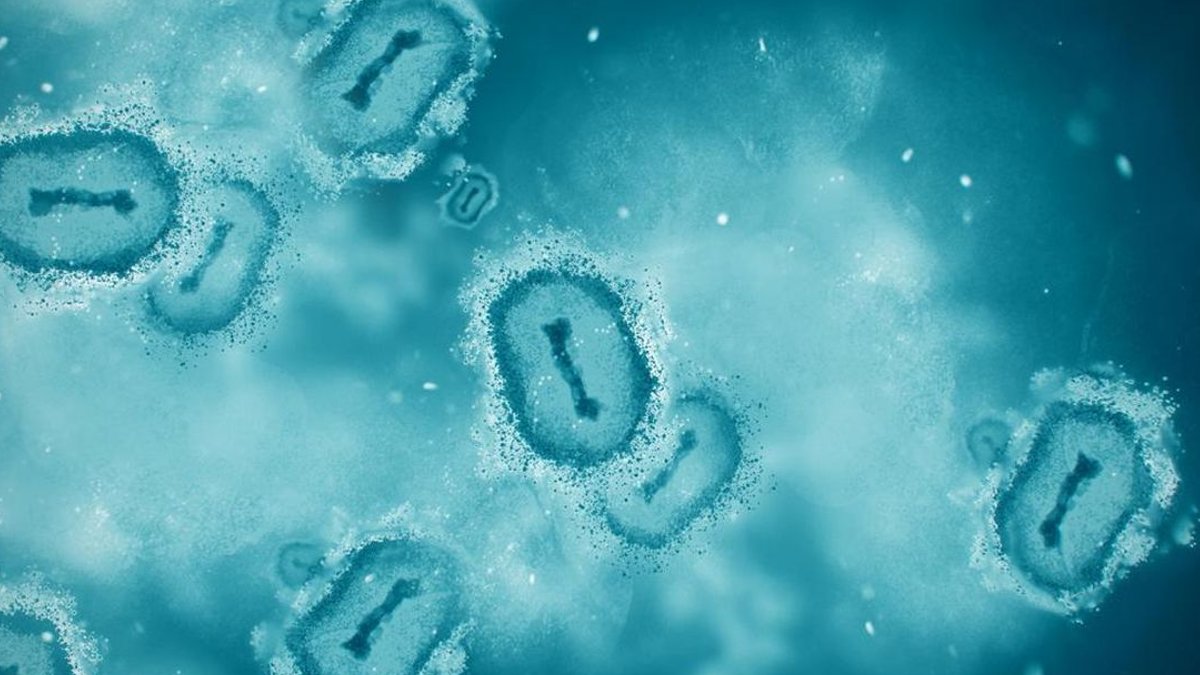 Wabah Misterius di Lab Siberia, Seorang Peneliti Meninggal dan Ratusan Dikarantina - wabah misterius Siberia