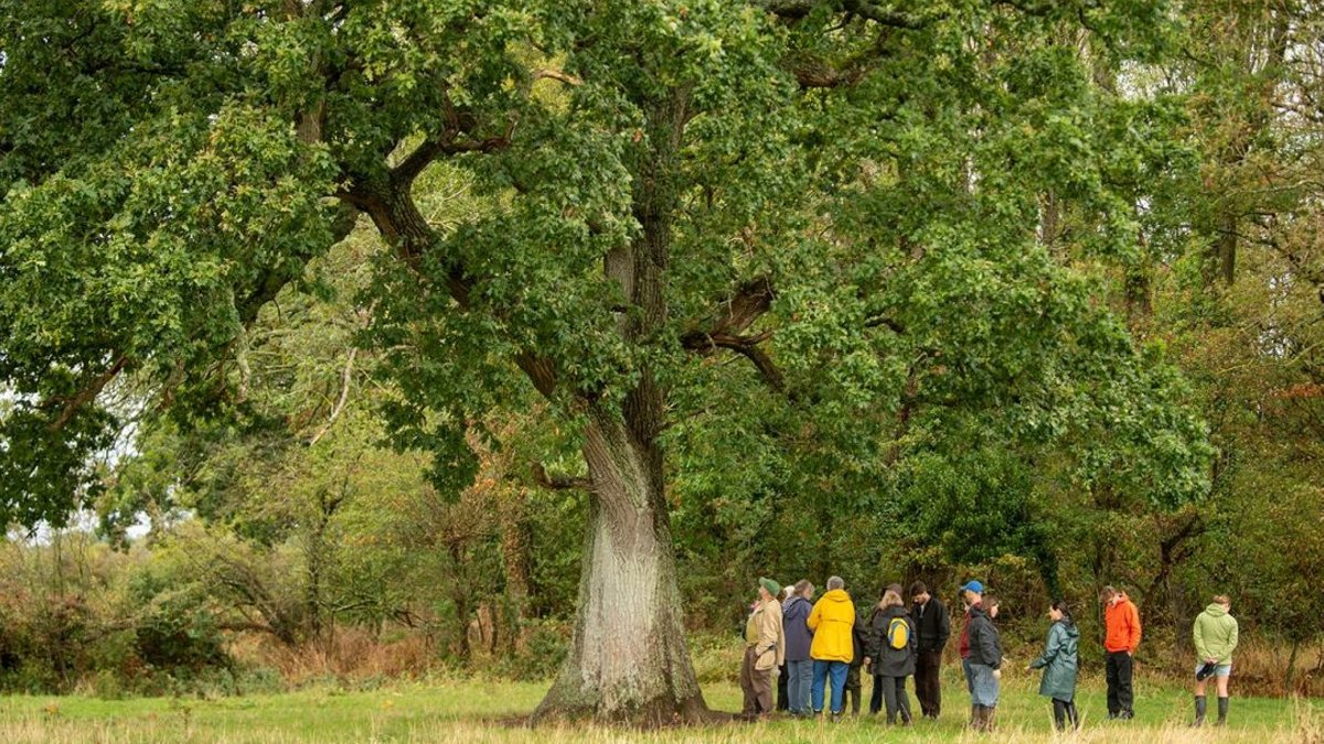 Pegasus Group partners with Belmont Estate for sustainability initiatives Pegasus Group partners with Belmont Estate for sustainability initiatives - sustainability partnership
