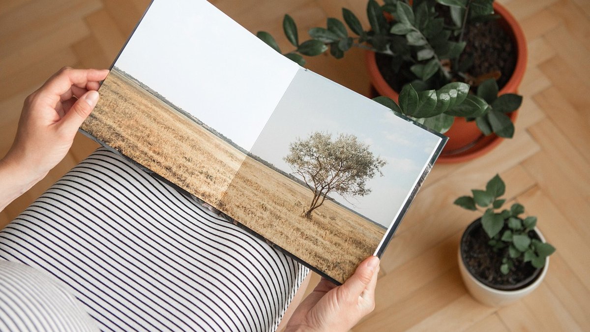 Print media shows resilience amid circulation decline Book, photography, vacation, print, garden, nature.