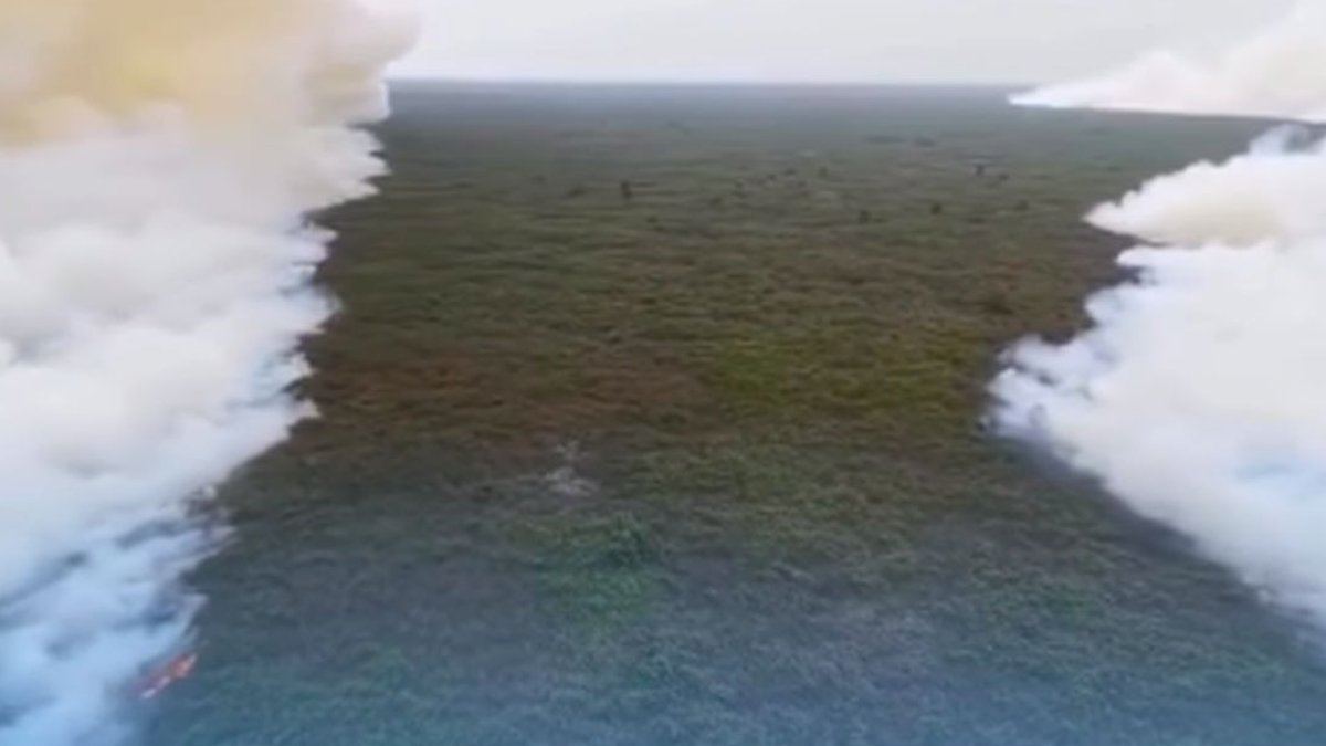 Relawan Karhutla Tanjung Puting Mundur, Kemenhut Jelaskan Water Bombing - Karhutla Tanjung Puting