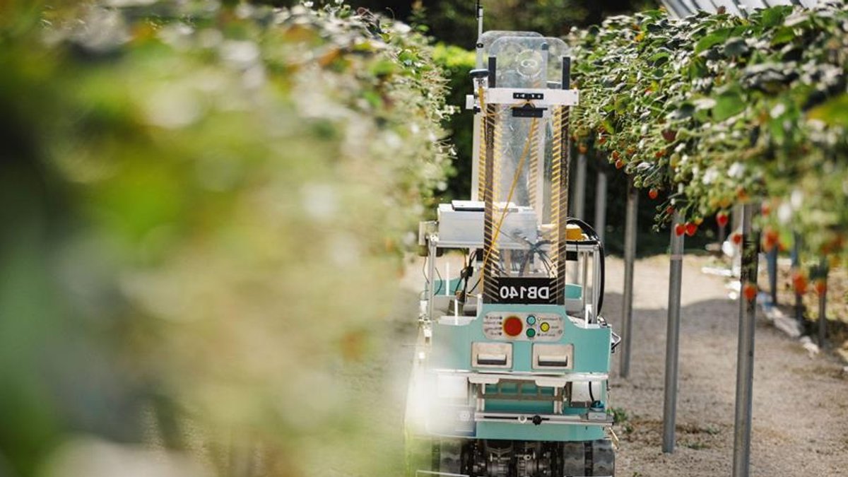 UK university launches £4.8m robotics hub for farms UK university launches £4.8m robotics hub for farms - agriculture robotics