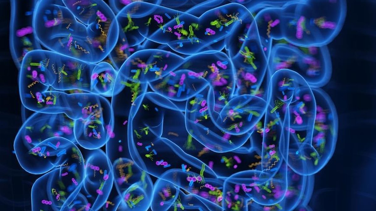 Scientists use AI to design gut microbiome nutraceuticals - ai gut microbiome