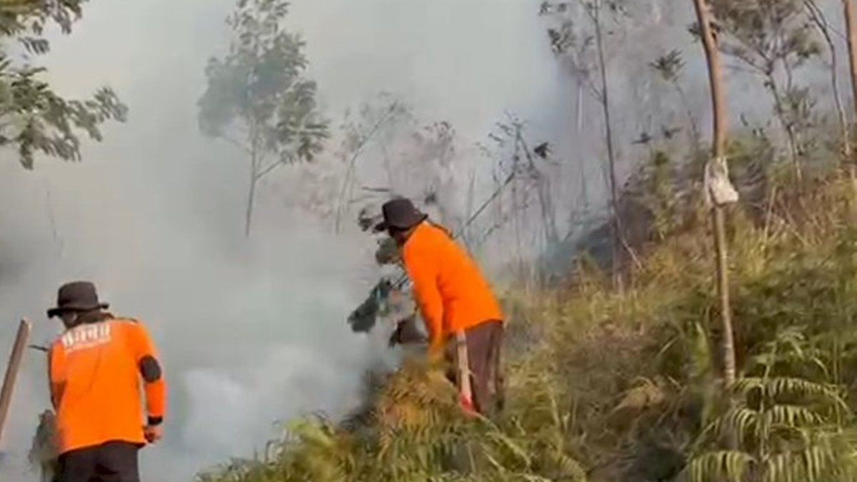 Kebakaran Hutan Gunung Lawu Meluas, Petugas Fokus Lindungi Fasilitas Warga Kebakaran Hutan Gunung Lawu Meluas, Petugas Fokus Lindungi Fasilitas Warga - kebakaran hutan Gunung Lawu