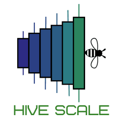 Hive Scale LLC Logo